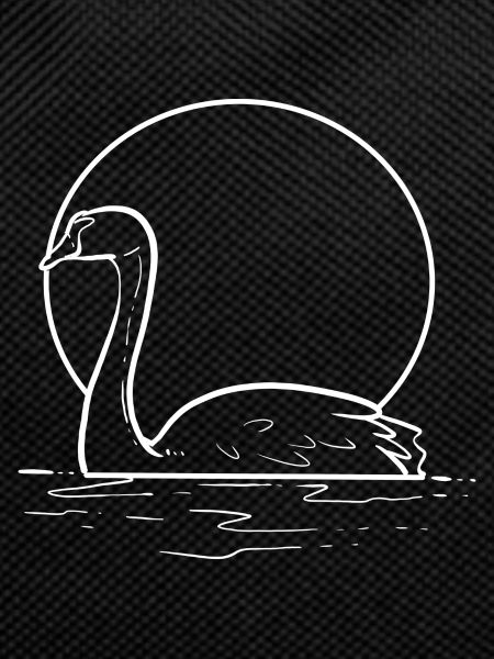 Beautiful Swan Painter Poison