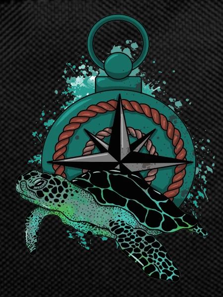 Turtle Compass