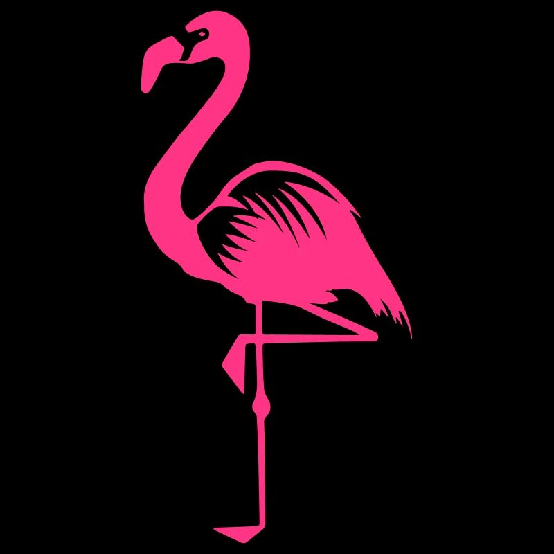 Flamingo pink rosa Vogel Sommer Tier Wasservogel