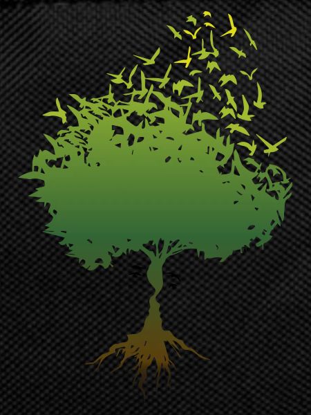 The tree of friendship