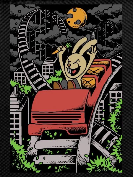 ROLLER COASTER