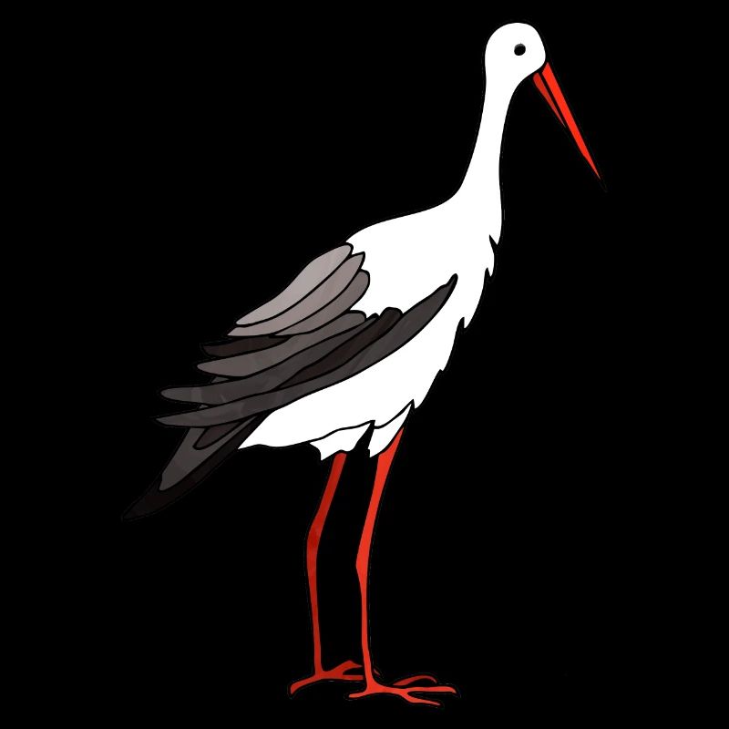 Stork