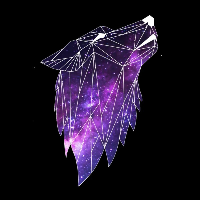 Géométrie Galaxiewolf