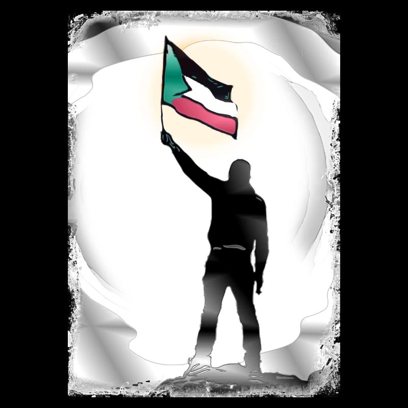Palestine Drapeau Vies Comptent P9