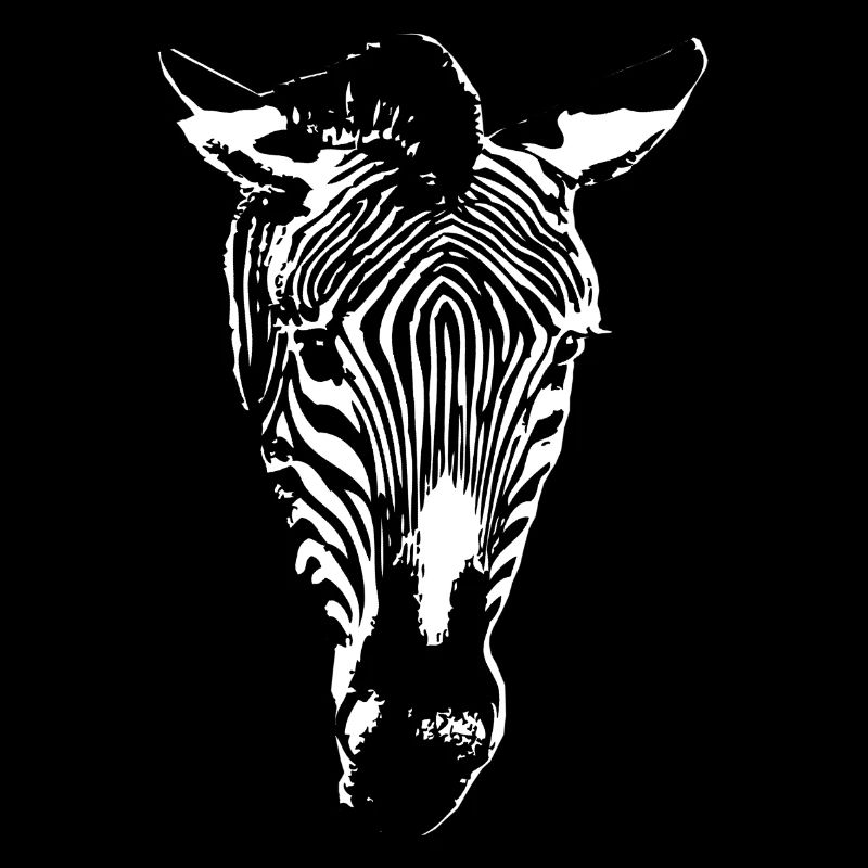 Zebra crossings | Black and White Striped