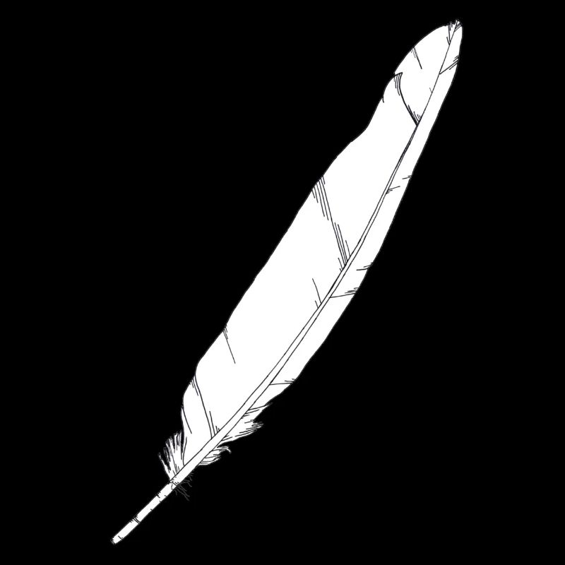 Grande plume blanche dessinée à la main (Grande Aigrette)