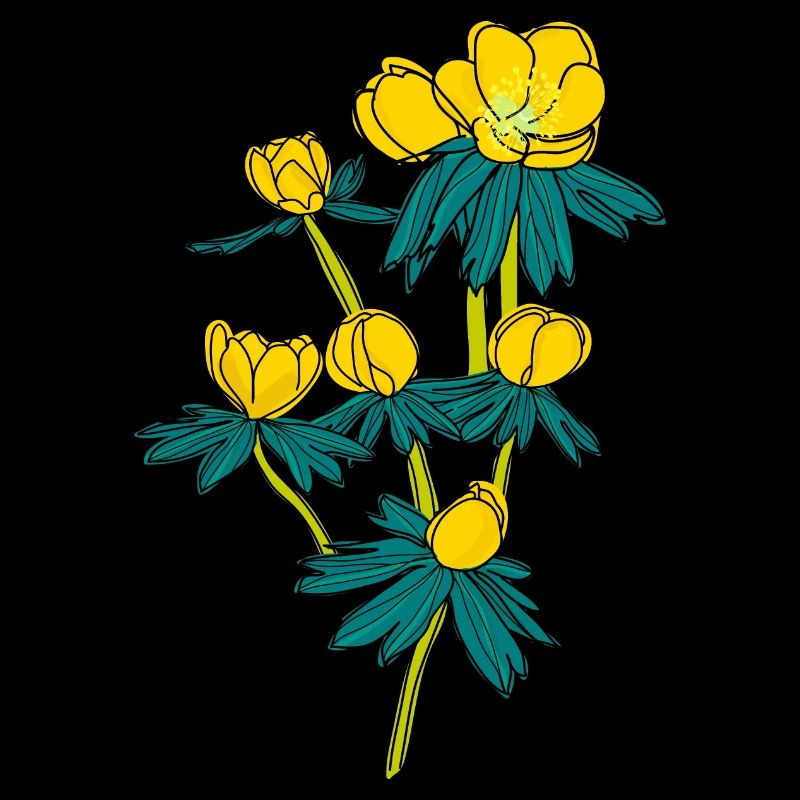Winter Aconite2