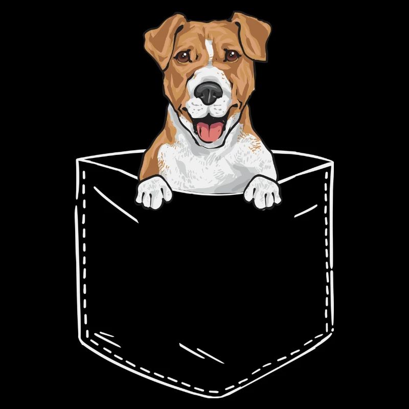 Jack Russell Terrier
