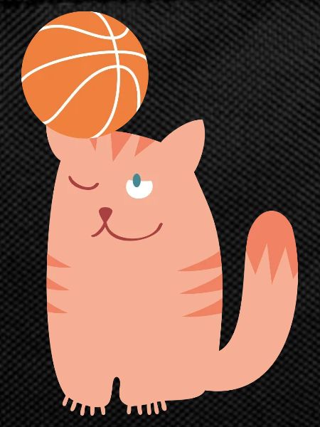 Ballsport