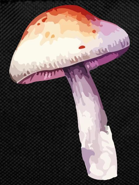 pilz