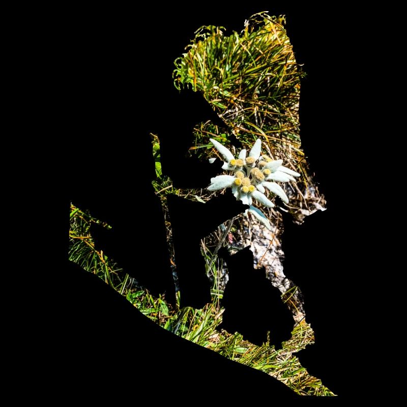 Bring me another Edelweiss!