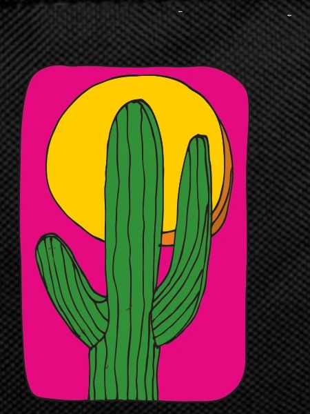 Cactus Mexico Sun