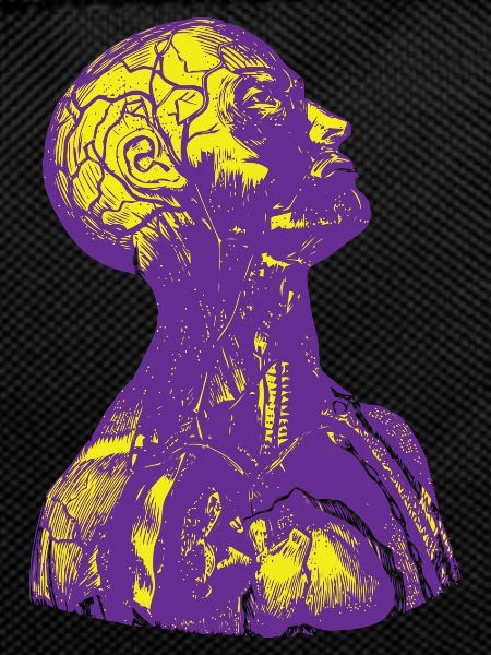 Purple and Yellow Human Anatomy