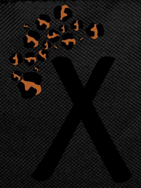 Letter x leopard print