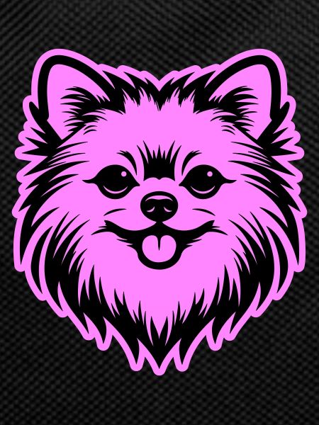 Pomeranian Dog Head