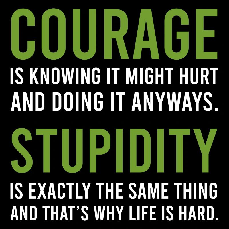Courage Stupidity Courage and Stupid Gift