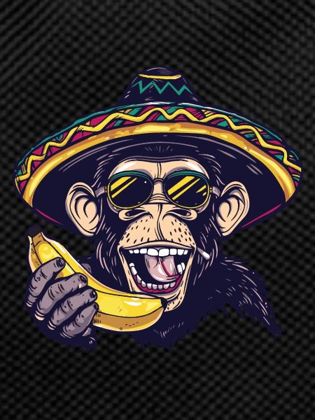 Bat Funny Sombrero