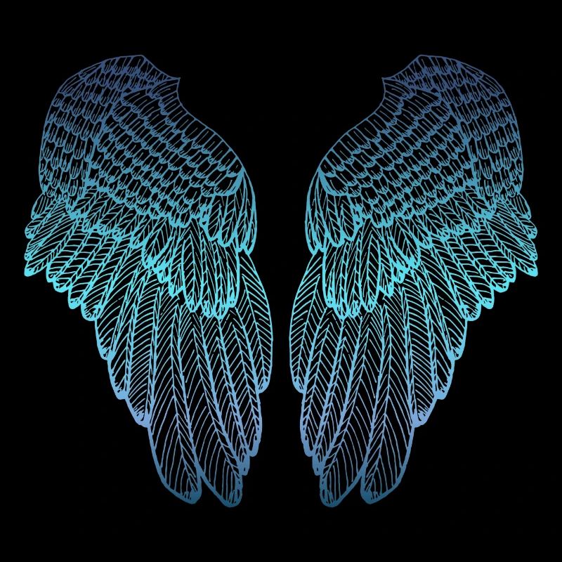Ailes d'ange aux tons bleues