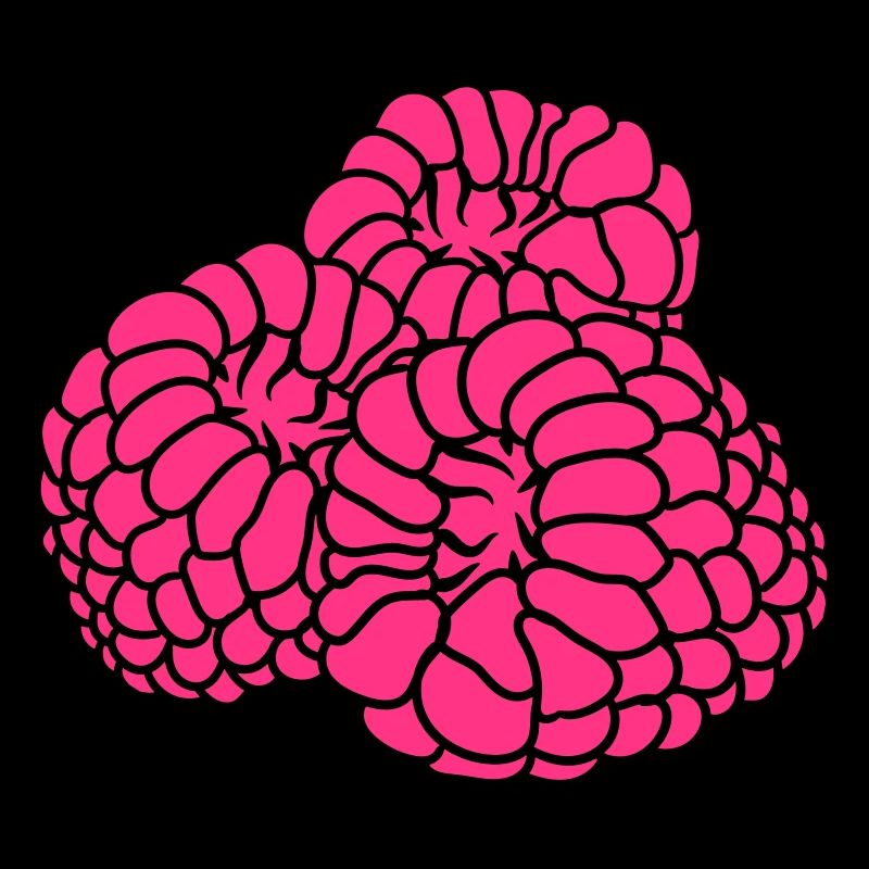 many raspberries berries delicious