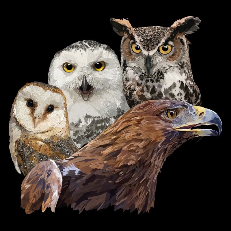 Royal Eagle and Owls
