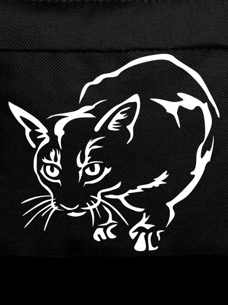Abyssiner Cat "Black Edition"