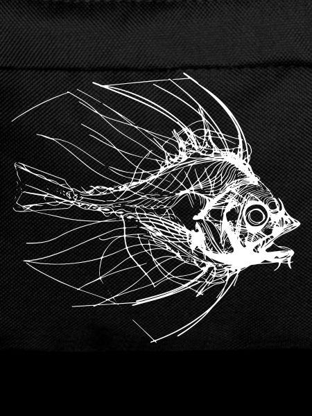 Fish Sketch