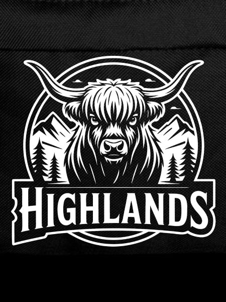 Highlands cow mountain landscape
