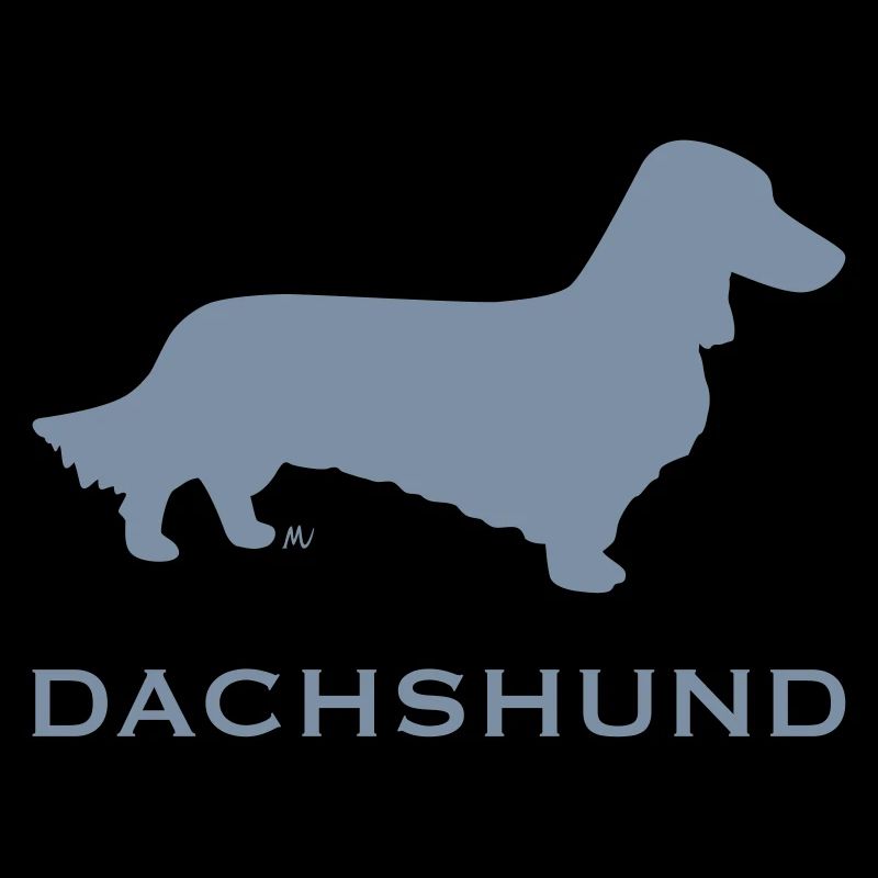 Longhaired dachshund