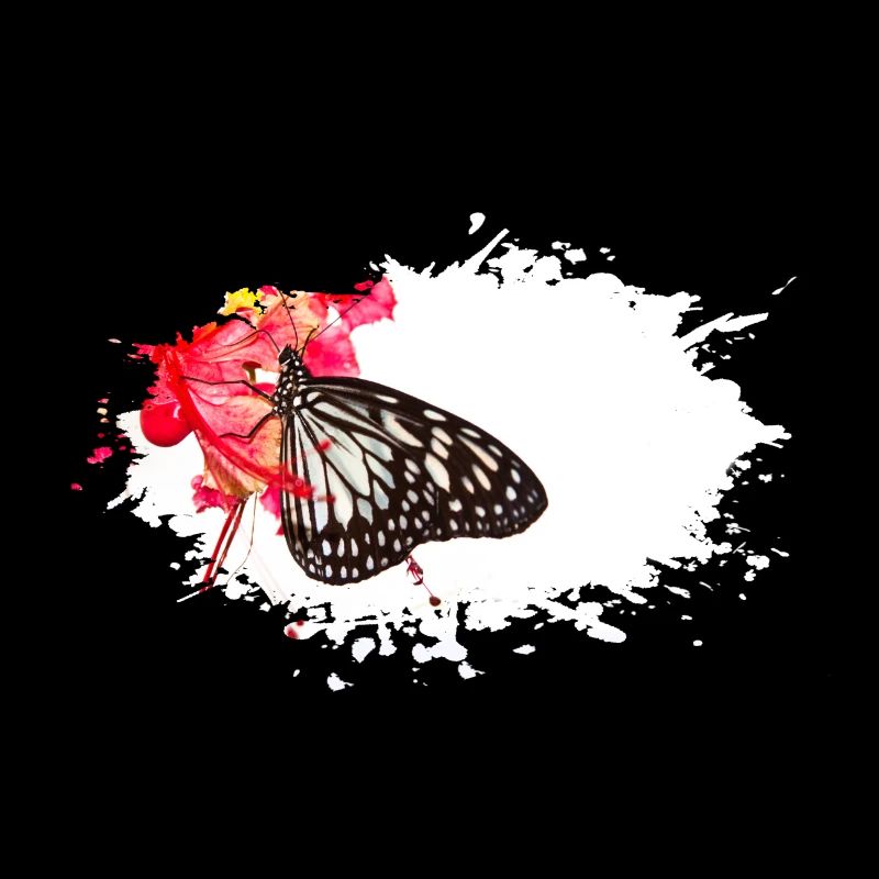 Butterfly Schmetterling