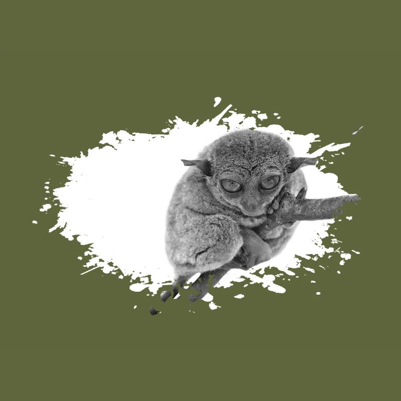 Tarsier Koboldmonkey Monkey