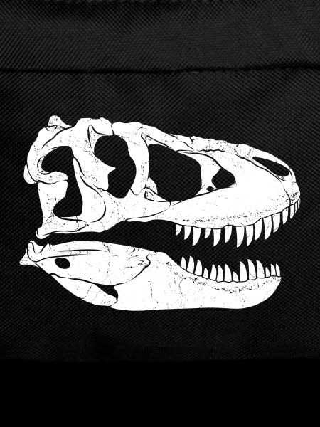 Tarbosaurus Fossil