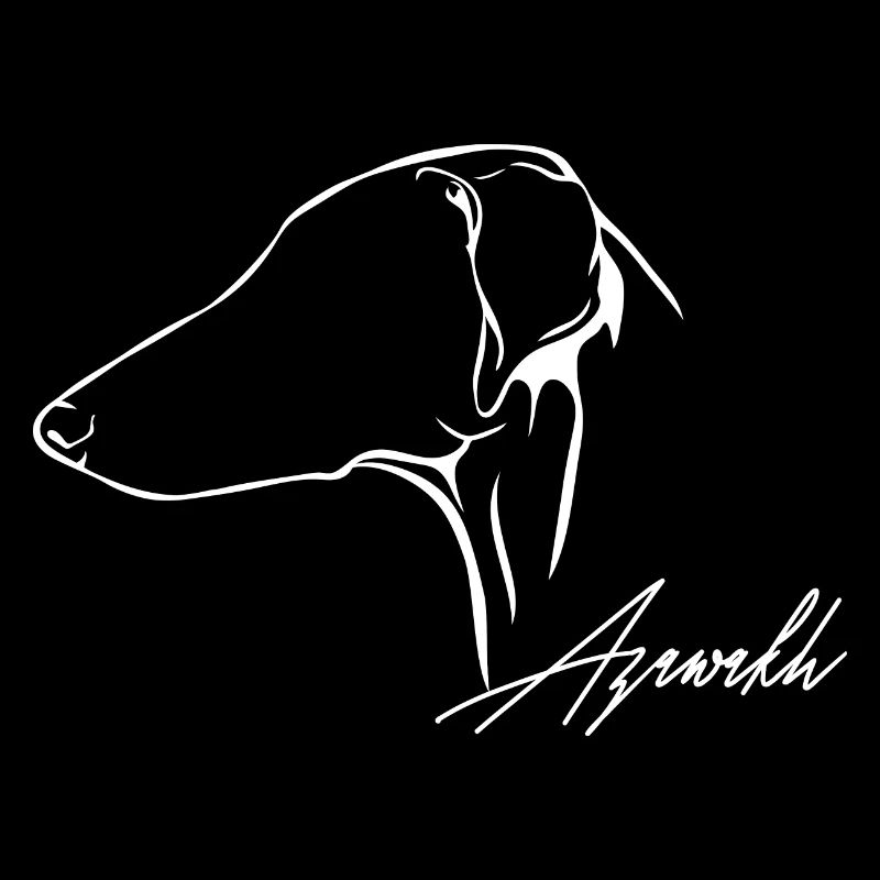 AZAWAKH Profil Hunde Hund Wilsigns Windhunde