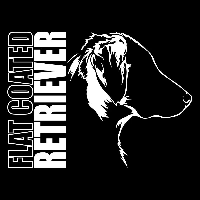 FLAT COATED RETRIEVER Profil Chiens Wilsigns