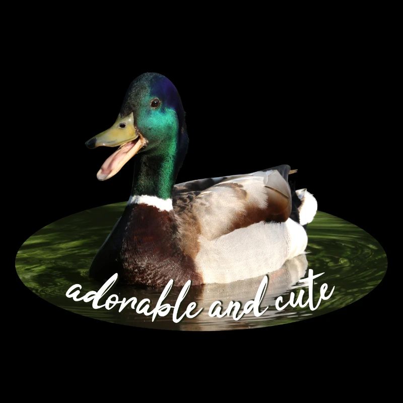 Canard colvert