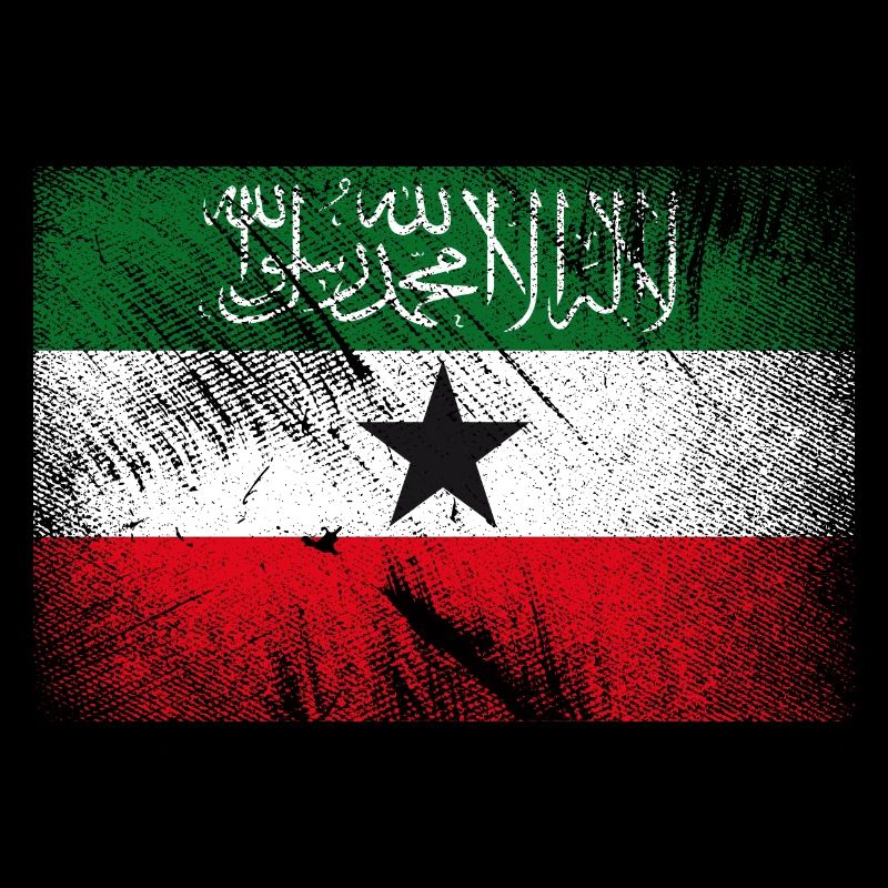 Drapeau du Somaliland - Grunge vintage