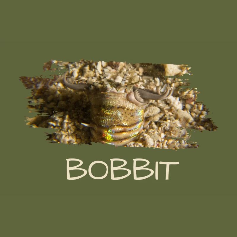 Bobbit Bobbitwurm