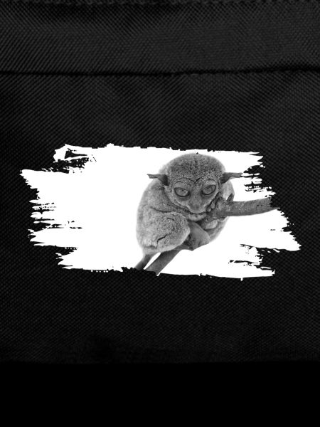 Tarsier Affe grumpy