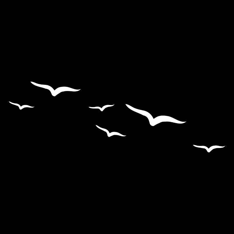 Birds | Oiseau