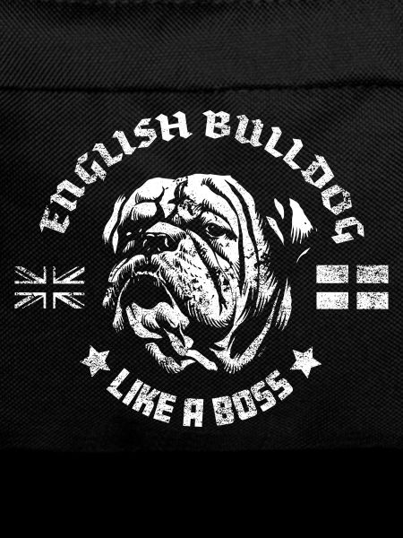 English bulldog