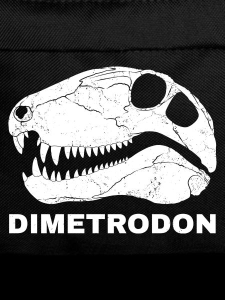 Dimetrodon Fossilschädel