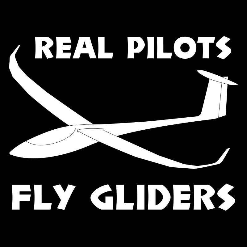 Pilot glider pilot flies gliding funny
