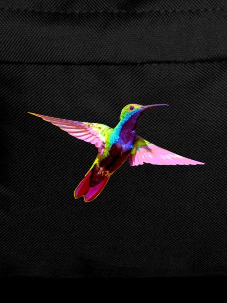 Bunter Kolibri