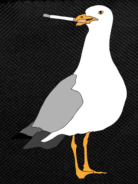 Seagul smoking