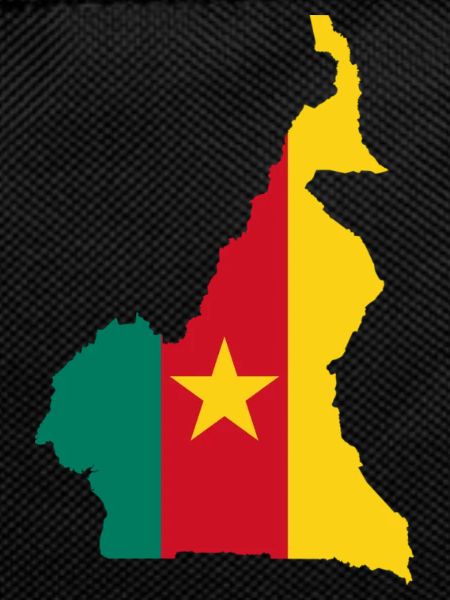 Cameroon map