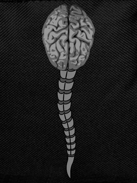 brain, spine,