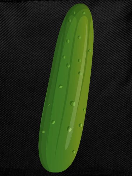 Concombres Légumes