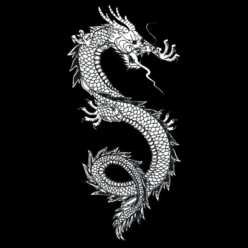 Dragon chinois