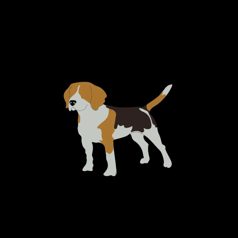 beagle