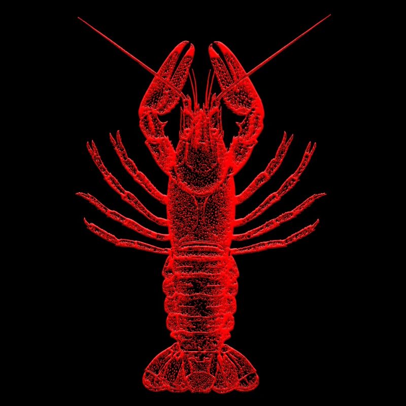 lobster