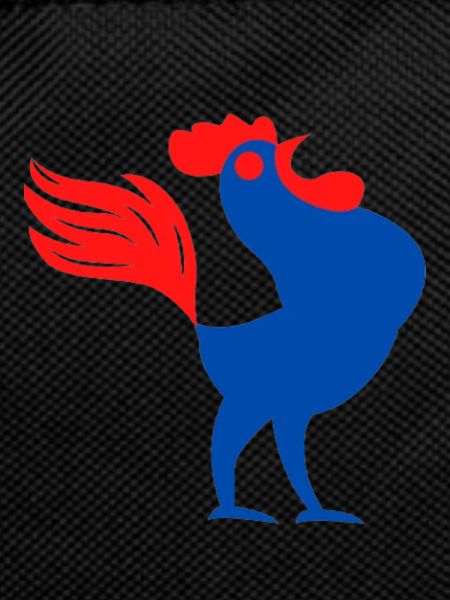 Mr THE COQ